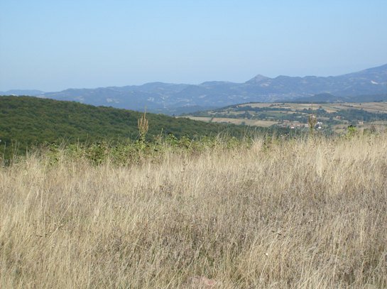 Pejzaz br2.JPG, 85 KB