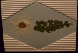 Svetlo plava čestitka.jpg, 44 KB