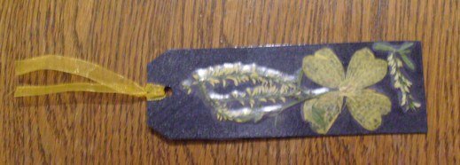 book mark br 5.JPG, 58 KB