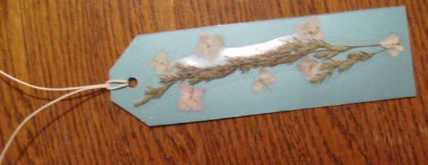 book mark br 9.JPG, 68 KB