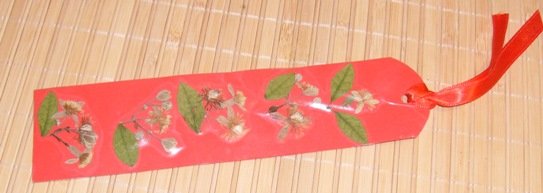 book mark br3.JPG, 65 KB