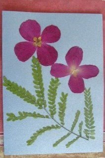 cest na srebrnoj podlozi.JPG, 17 KB