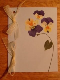 cest[1]. dani noc.JPG, 13 KB