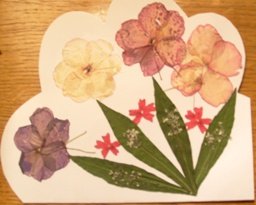 cestitka br 2 sa lukovima.JPG, 54 KB