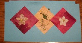 cestitka br1.JPG, 42 KB