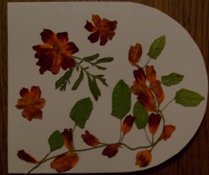 cestitka sa ovalom.JPG, 44 KB