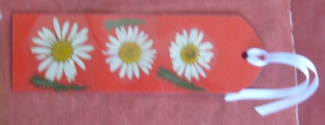 crveni petrovci 8.JPG, 78 KB