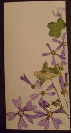 gx2y1dC0-c743e6c0f95515367dbb8b3813af417d.jpg, 57 KB