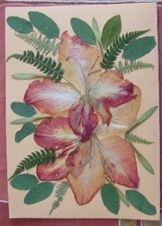 kajsija podloga sa gladiolama.JPG, 21 KB