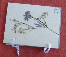 mala plavo bela.JPG, 45 KB