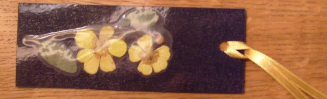 marker br 24, crni sa ljuticima.JPG, 423 KB