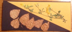 marker br 37 crni sa oker.JPG, 47 KB