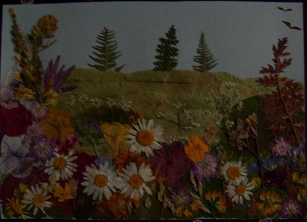 slika za Sanju.JPG, 105 KB